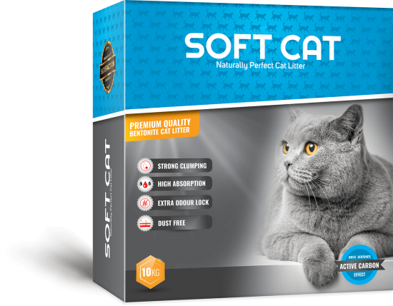 Soft Cat Carbon Effect