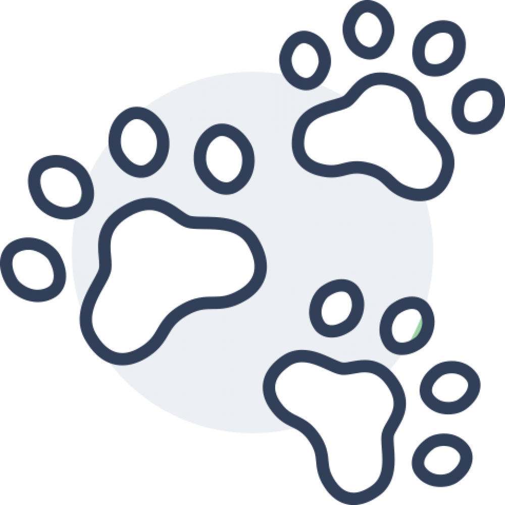  Minimum dust content thanks to its special formula