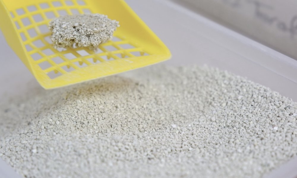  Product Safety and Testing Processes